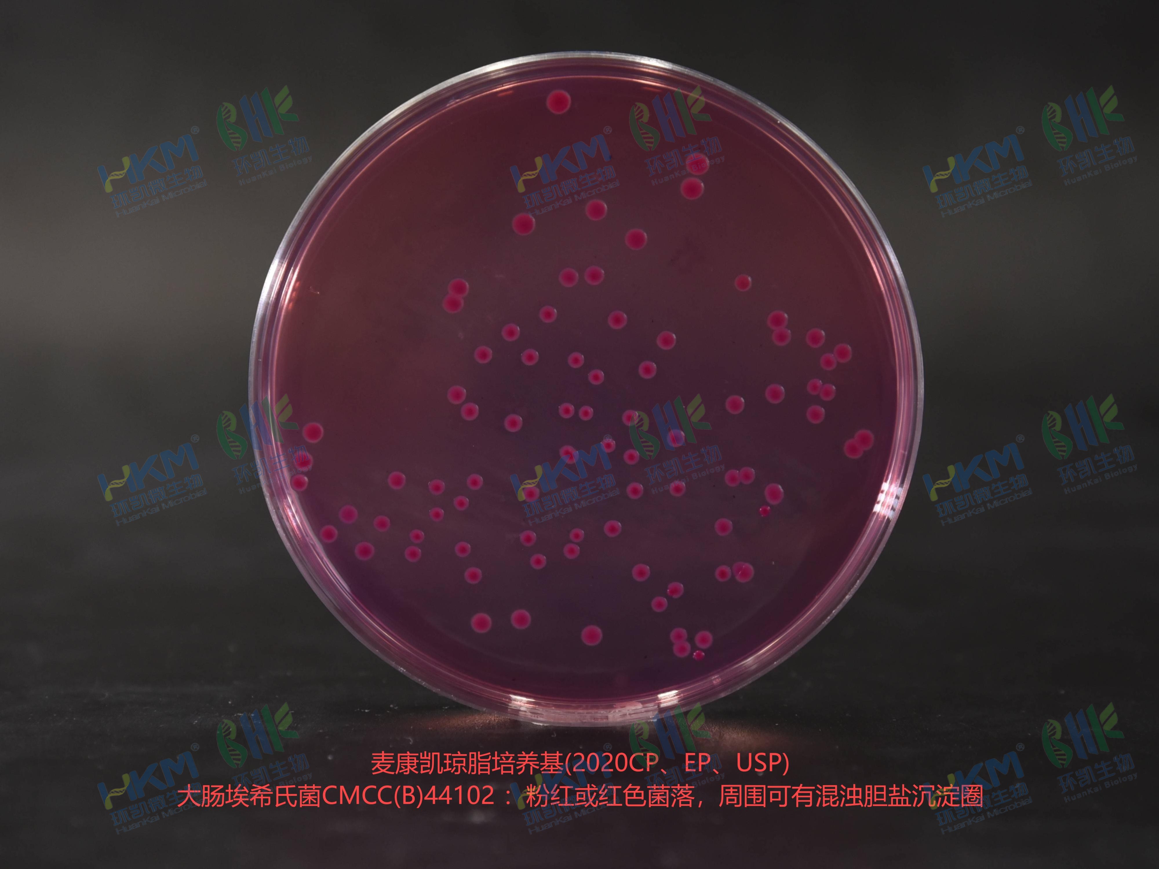 麥康凱瓊脂培養(yǎng)基 乙型副傷寒沙門氏菌CMCC(B)50094