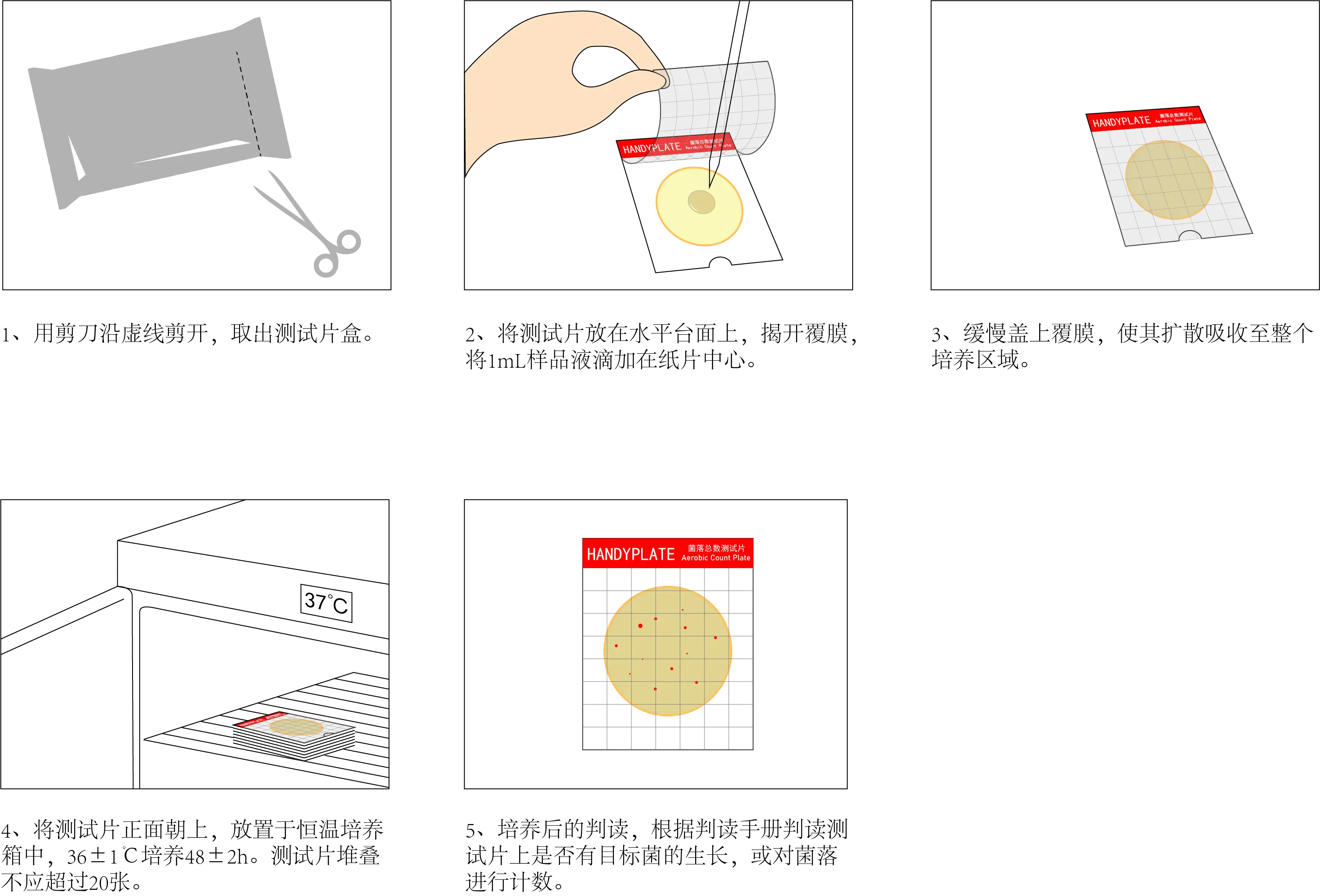 菌落總數(shù)測試片使用操作步驟