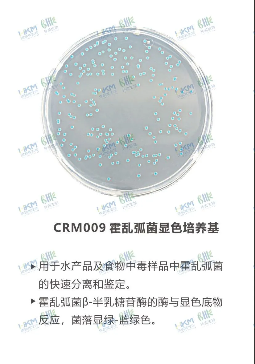 CRM009 霍亂弧菌顯色培養(yǎng)基