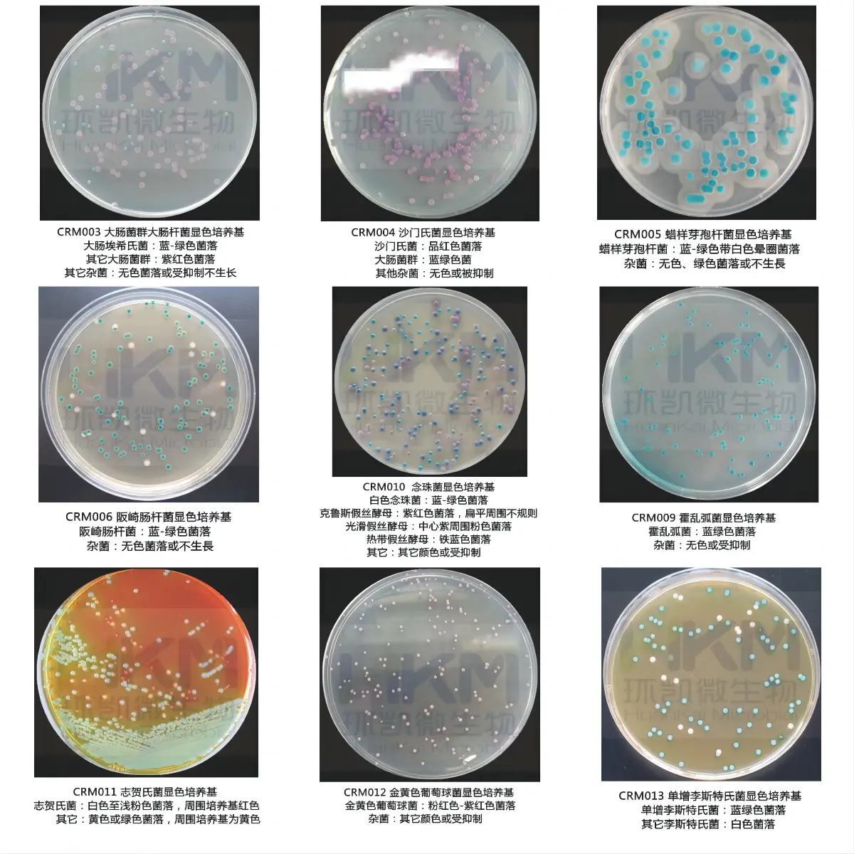 環(huán)凱顯色培養(yǎng)基系列產(chǎn)品詳細(xì)介紹