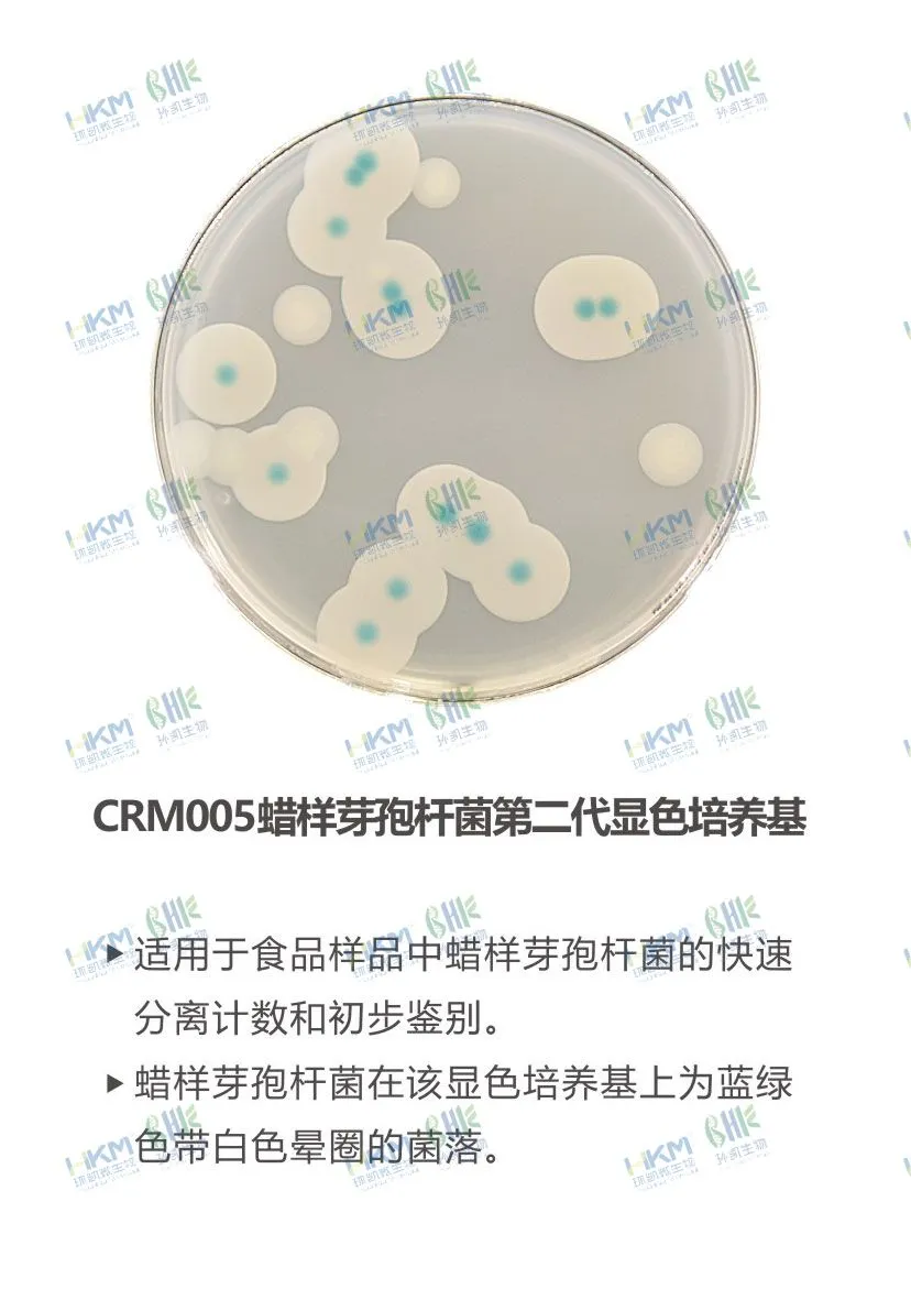 CRM005 蠟樣芽孢桿菌顯色培養(yǎng)基