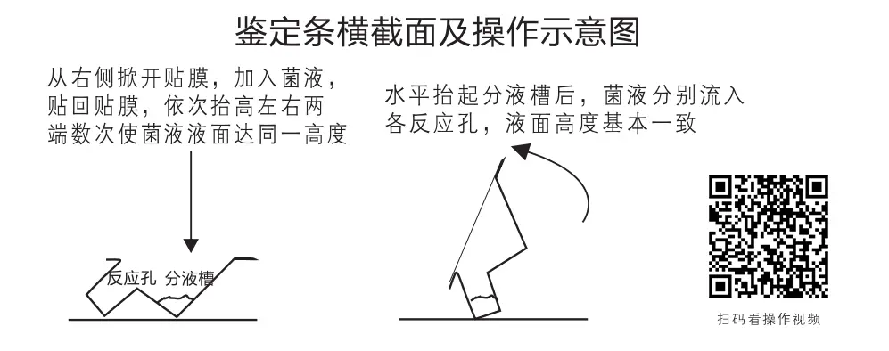 鑒定條橫截面及操作示意圖